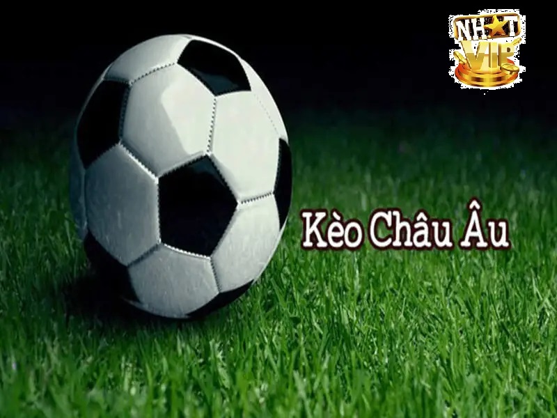 Hướng dẫn cách đọc và hiểu kèo châu âu tại NhatVip