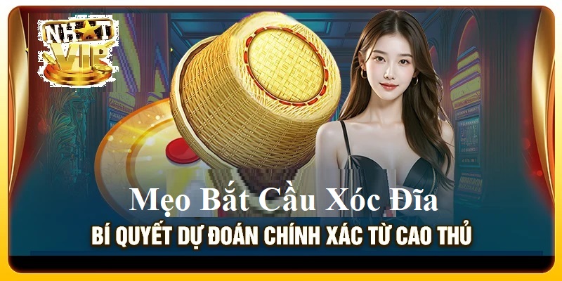 Mẹo Bắt Cầu Xóc Đĩa từ các cao thủ